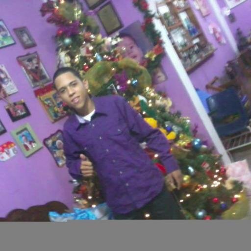 luis armando