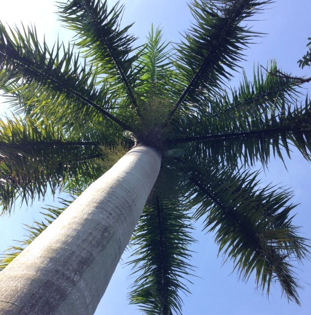 nmc2009's profile picture. Scottish living in Florida