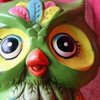 SunkiTheMonkey ☮️ (@sunkithemonkey) 's Twitter Profile