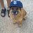 suz7889's profile image