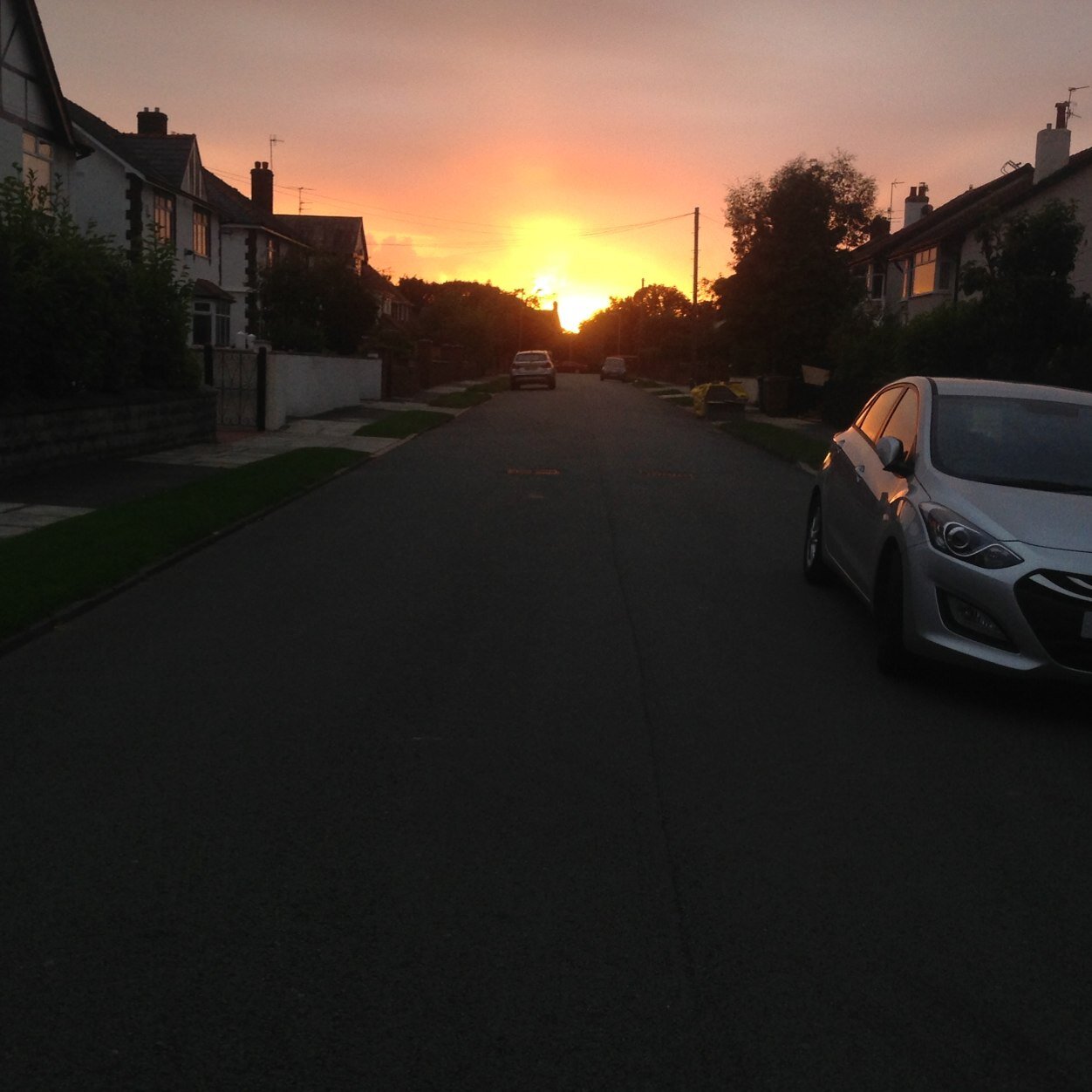 mydignityburns's profile picture. umm ????