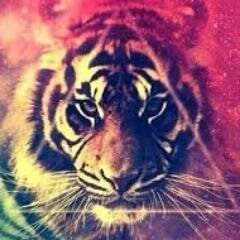 amo la vida ,,me gusta la musica,me gusta como soy,,amo a mi mama ! gracias por seguirme .../ MDVRM