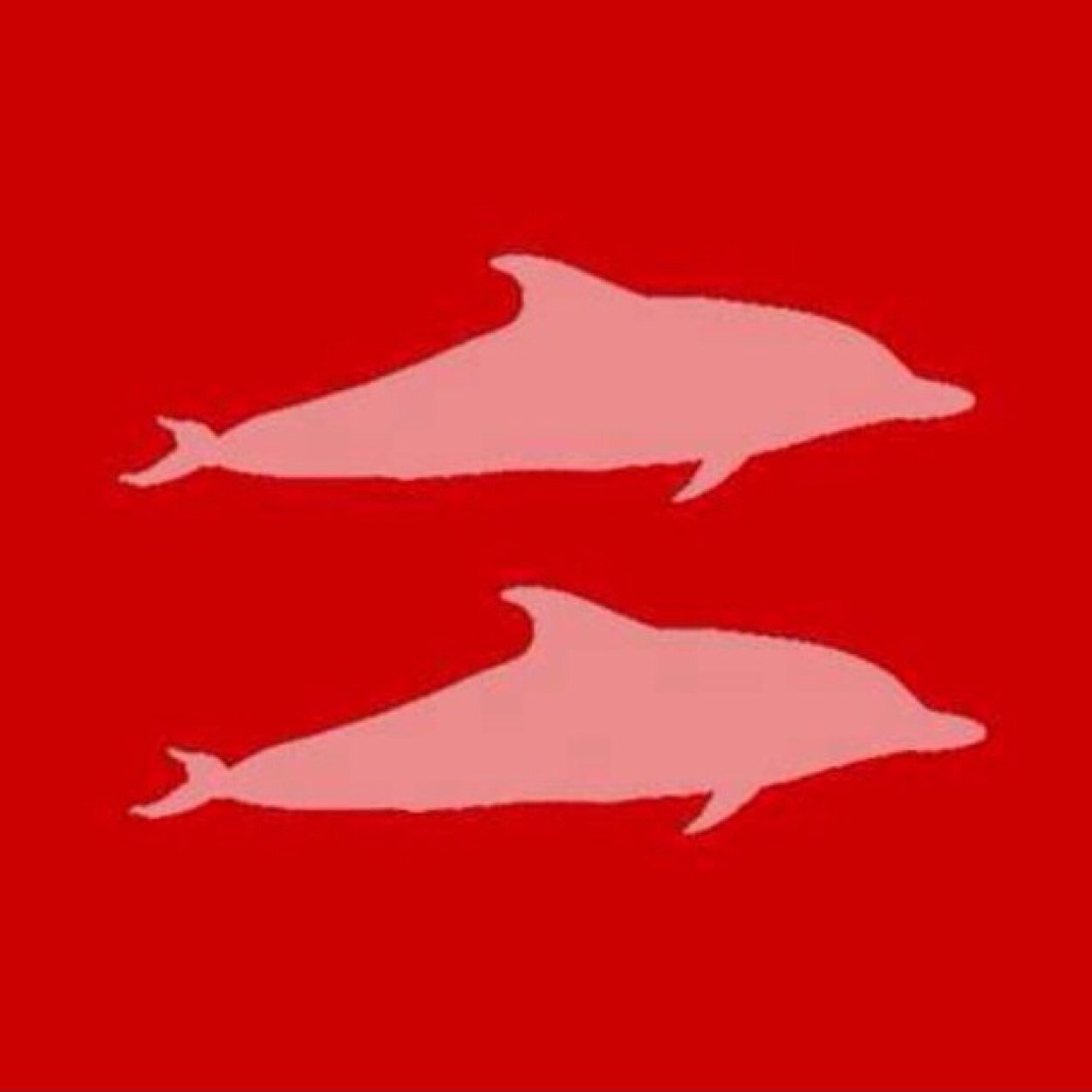 TajProject's profile picture. TAKE ACTION JOYFULLY