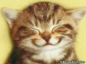 BeckerRingo's profile picture. 