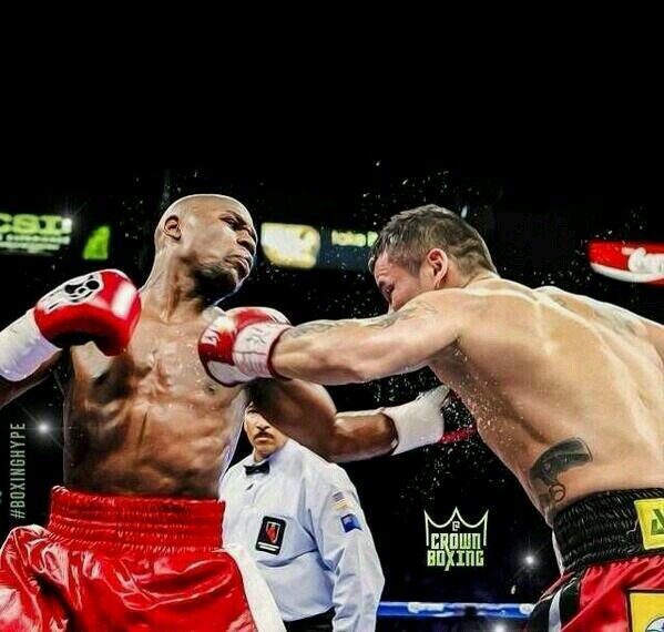 BOXING FAN FAMILY MAN #BOXINGHEADS #FIGHTTALK #MMA #TMT