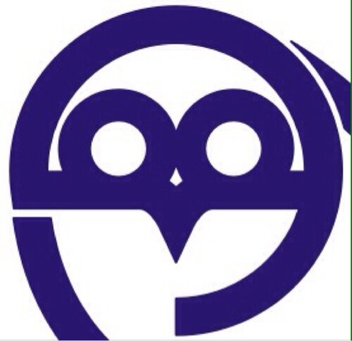 TheOwl_SWFC's profile picture. The Owl. #WAWAW #swfc