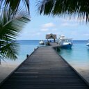 Kevin Aue - @sprintr36 - Twitter