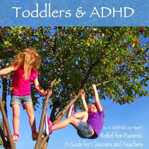 Author of Toddlers & ADHD (available on my website, Amazon, & Barnes & Noble), Licensed Clinical Therapist, Teacher, & Mom of Twin Toddlers Diagnosed with ADHD