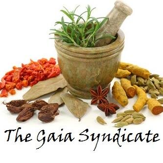 The Gaia Syndicate is a small family owned business specializing in providing Organic Medicinal herb plants and seeds to our customers nationwide!.