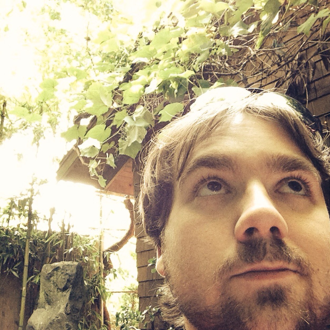 tylerbagot's profile picture. 