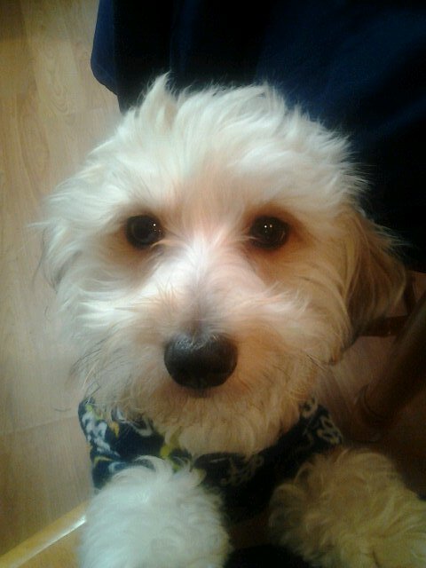 daughtryfan114's profile picture. 