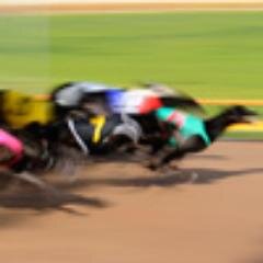 Love my greyhounds, best of all the racing codes. Favourite track Sandown Park, Victoria