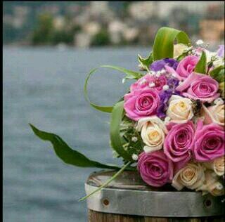 hhh4848's profile picture. ‏"وإن كان الأمر مُعقد ، فلُطف الله مُمتد"🌿