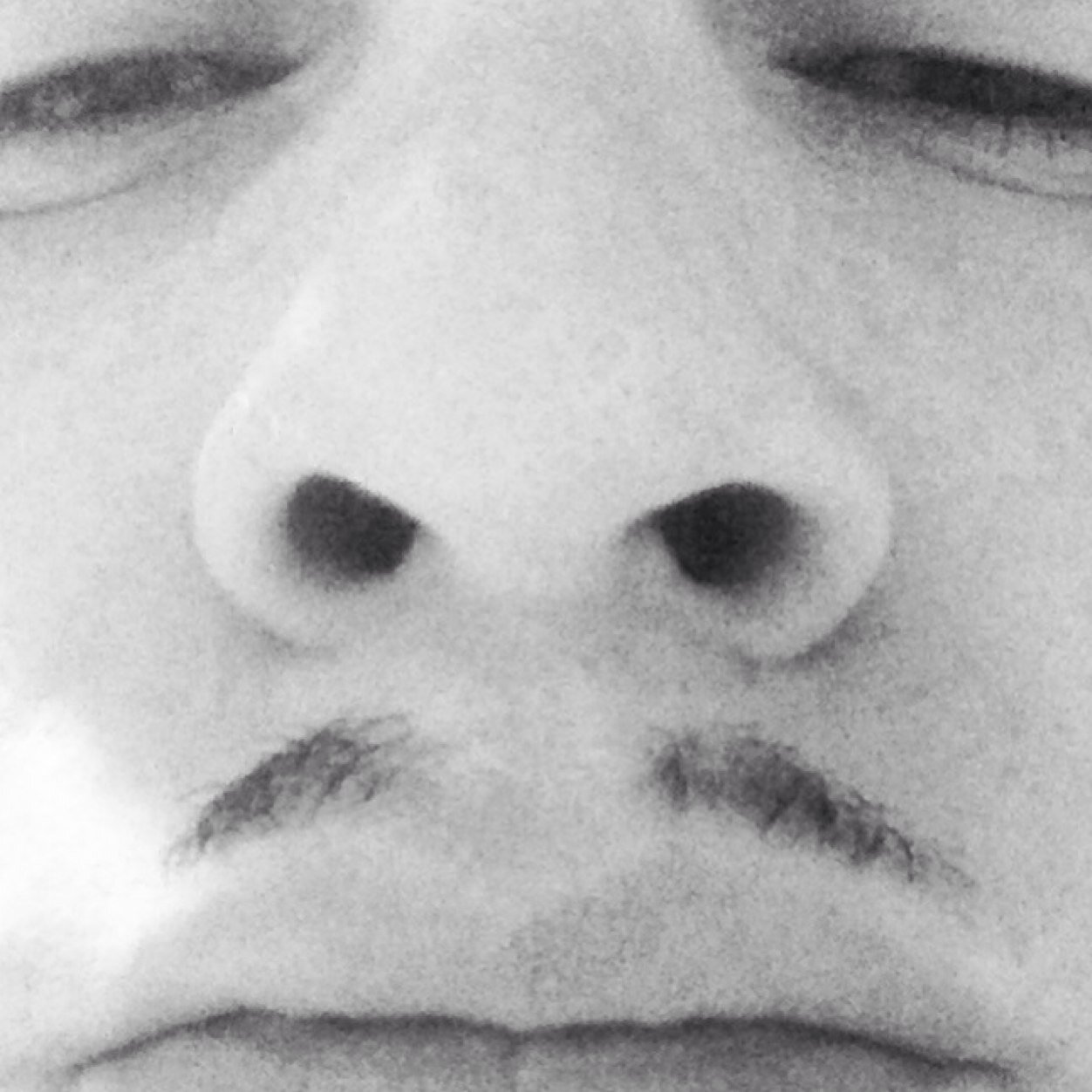 SirSonnyPeaches's profile picture. I'm a wise guy, not a wise man.