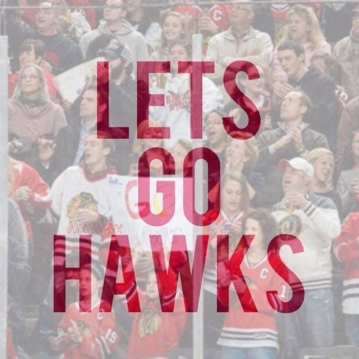 Die hard Blackhawks Fan.