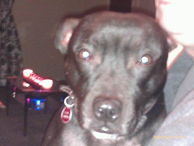 TTezmills's profile picture. 