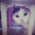 Becky (@lovecatlily) Twitter profile photo Becky (@lovecatlily) Twitter profile photo