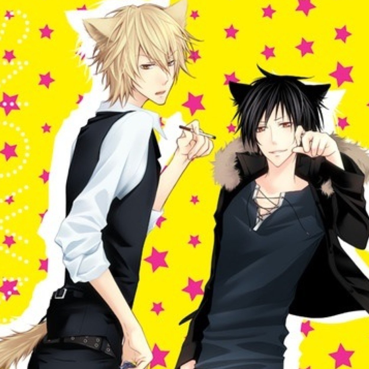 NekoIzaya's profile picture. Changing my whole lifestyle for you is hard enough without your trust in me. I'm trying, Shizu-chan. | #DRRR | Neko!Izaya | #RP |