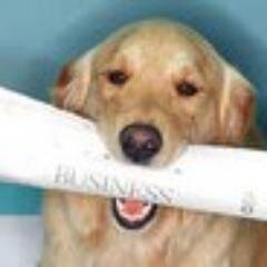 NoticiasJyA's profile picture. ...