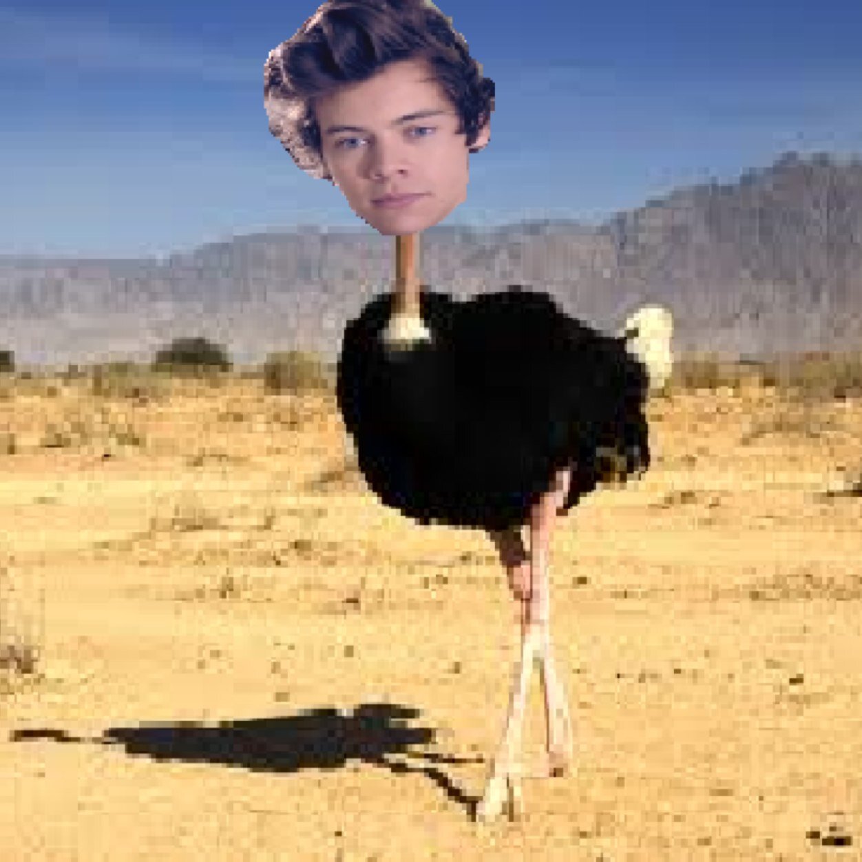 BasicPhotoshop's profile picture. The average basics. Real or photoshop? You decide. basicwhitegirlsonphotoshop@gmail.com