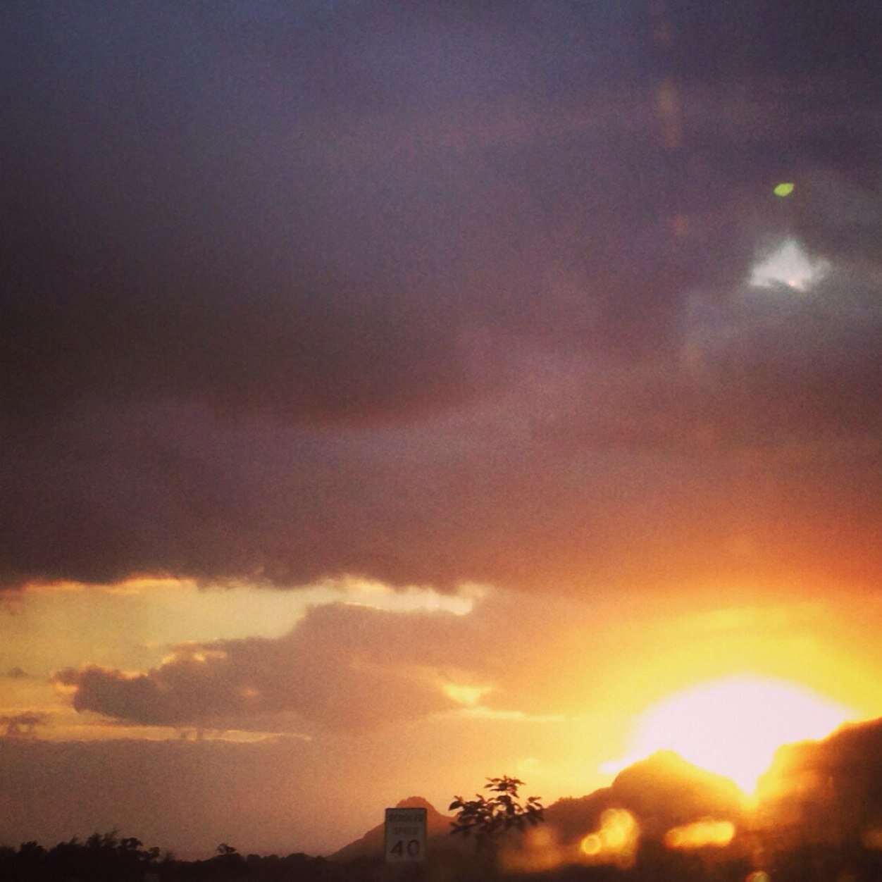 VimHawaii's profile picture. 