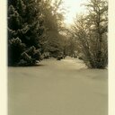 Jordan Daniel Corson - @CorsonDaniel - Twitter