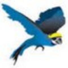 The twitter account for the petition to change the SHUfly.  Email personal accounts and pictures at shuflypetition@gmail.com. You will remain anonymous.