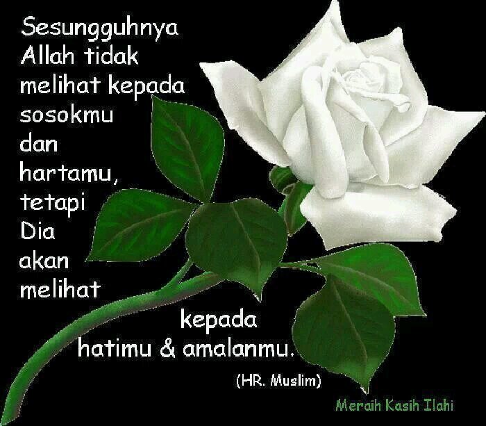 Atas izin allah.cnta hadir mnypa htiku
