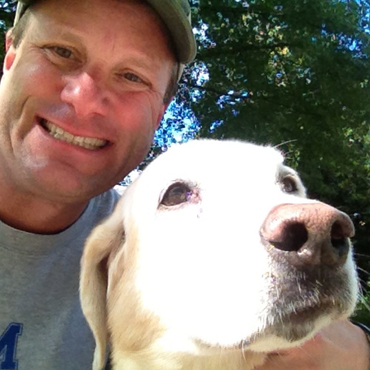 swernermemphis's profile picture. 