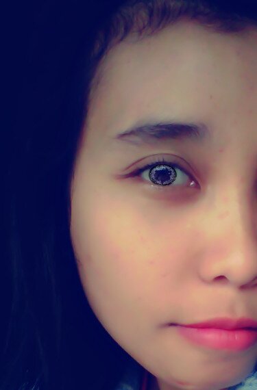 Shebee