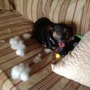 Norma Dalton - @njdalton6 - Twitter