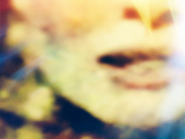 Boicotstudio's profile picture. 