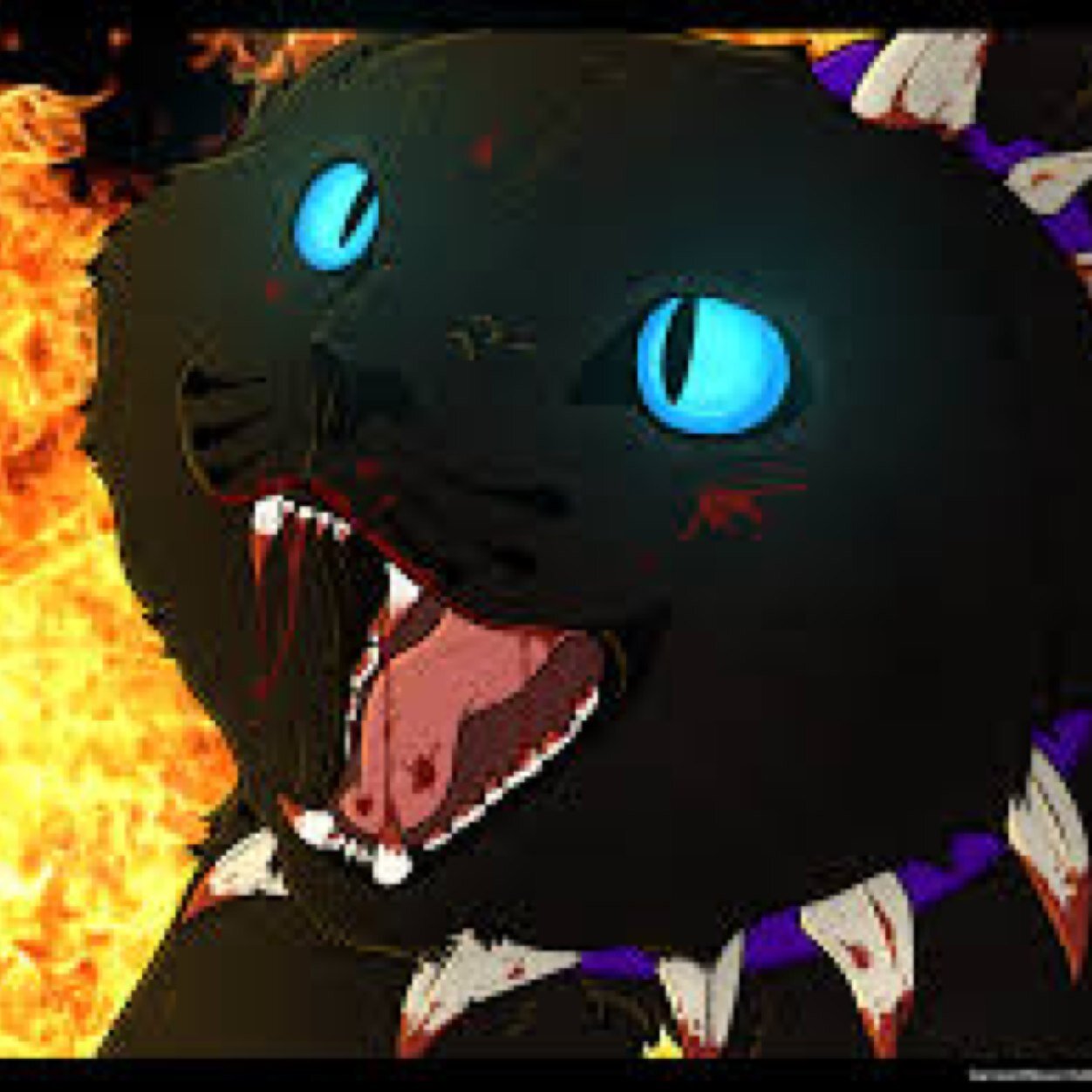 halostar222's profile picture. Hi there,...
MEOW!!!!!!! For no damned reason at all lol