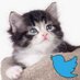 Writing Kitty (@writingkitty) Twitter profile photo Writing Kitty (@writingkitty) Twitter profile photo
