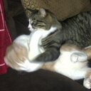 Al Hutton - @alhutton80 - Twitter