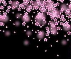 ヲタ事の呟きが多い