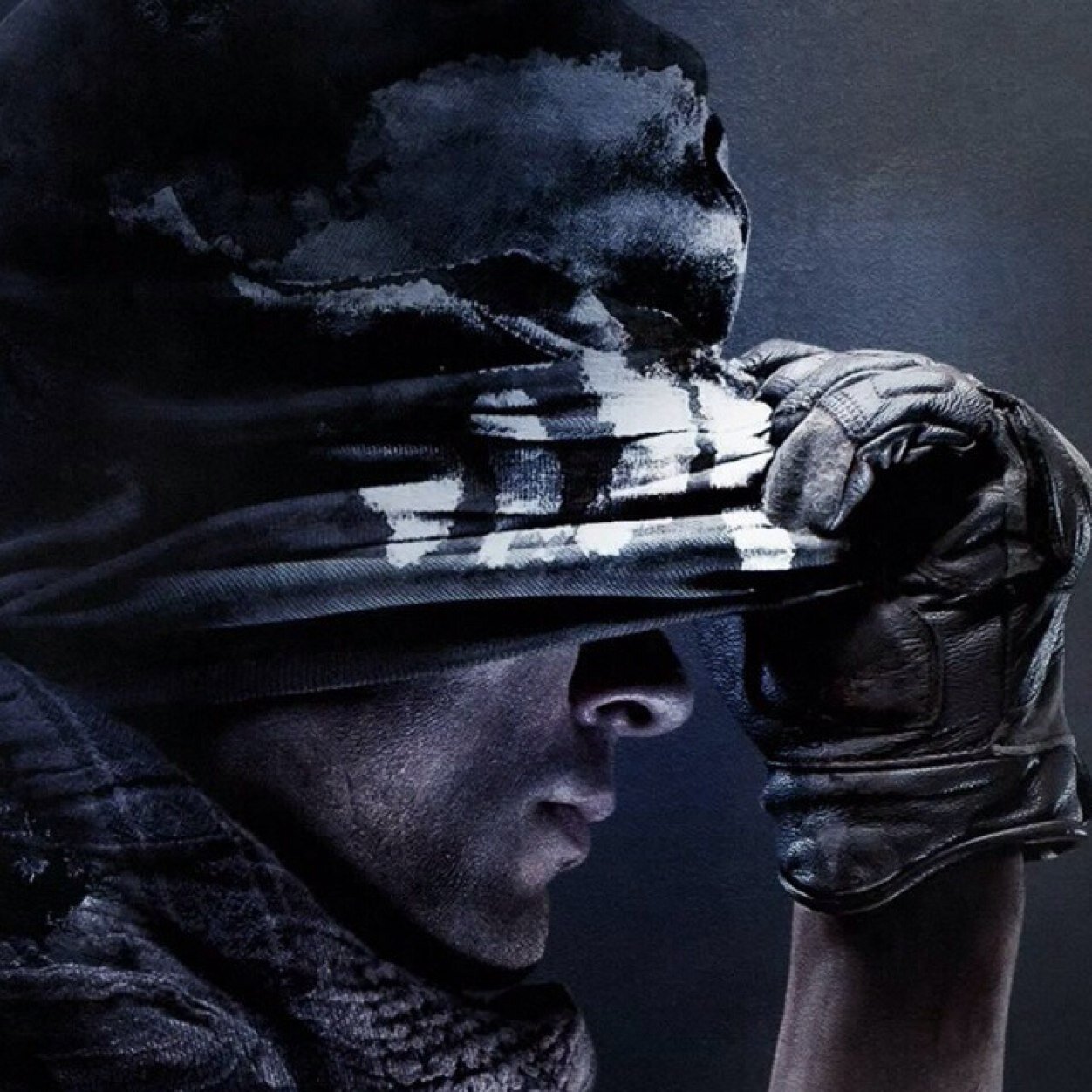 Will be host free and paid tournaments in hardcore mode for call of duty once i pass 250 followers
