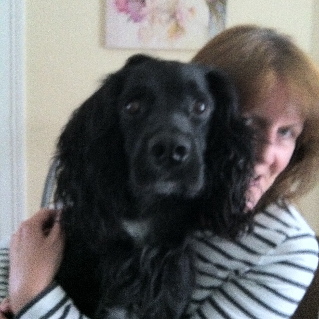 rupietaylor's profile picture. 