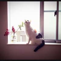 emi (@emimugi) Twitter profile photo