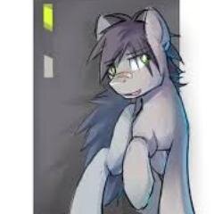 h-hello.......stallion from Braytain tall, sweet ,kind, loving, big softy.....cutie mark is a Moon with a lighting bolt going though it