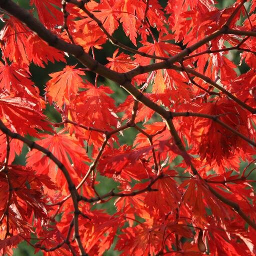 ccbardwell's profile picture. Travelloving. Fitnessloving. Designloving. Foodloving. Cycleloving. Lifeloving.