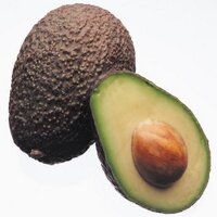 Avocado Nutrition (@avonutrition) 's Twitter Profile Photo