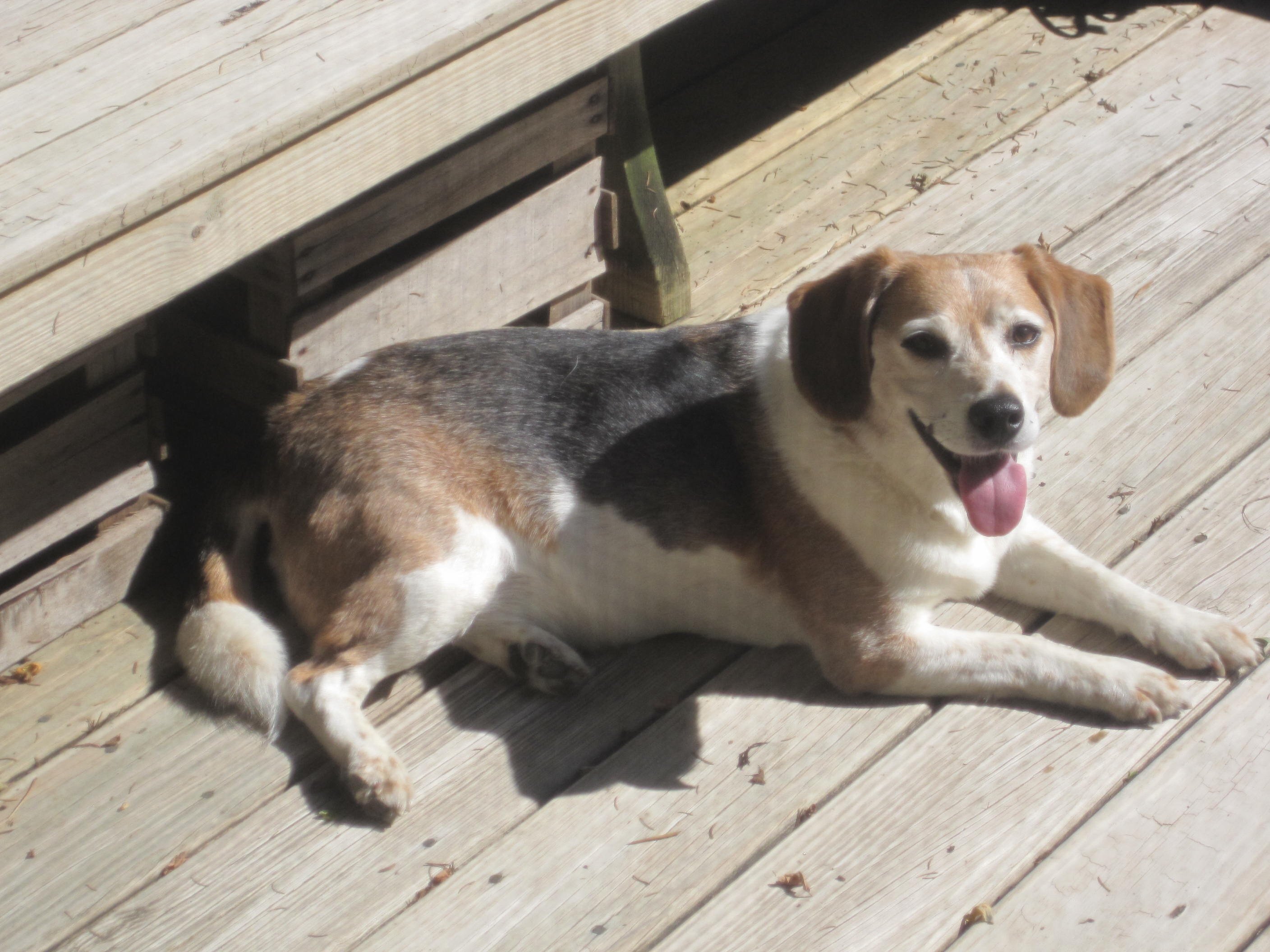 RylieRae1's profile picture. 