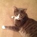 William H. Bradley (@dcbilliam) Twitter profile photo