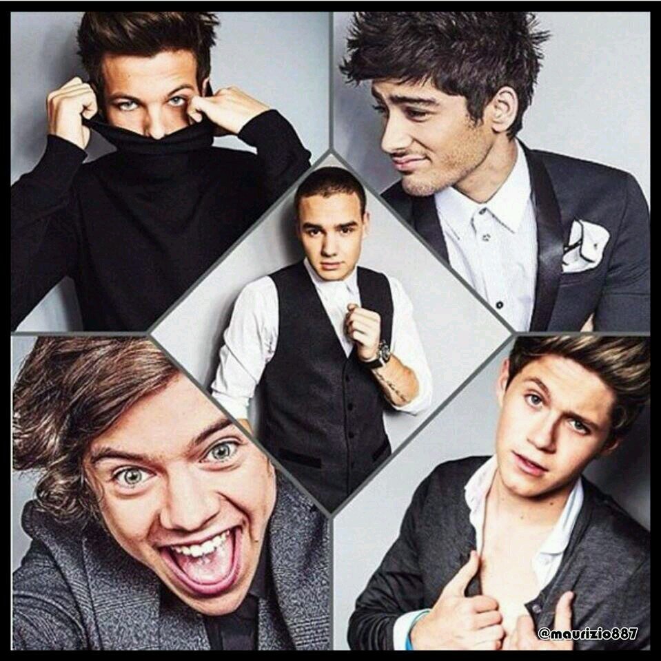 One Direction is my life