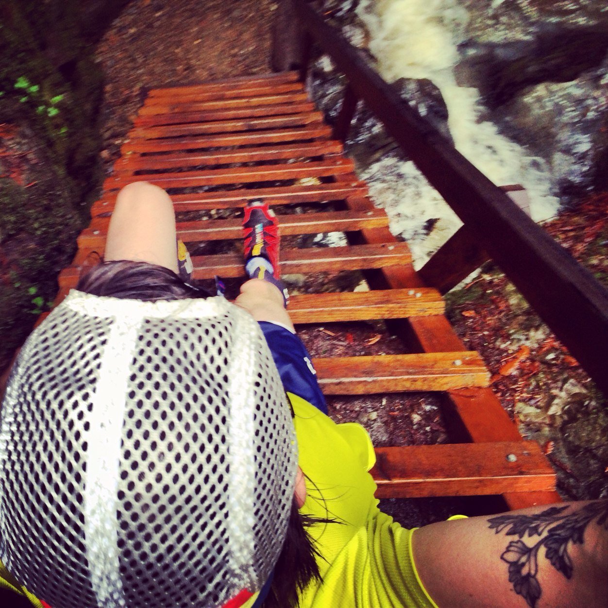 ZNoles's profile picture. I cook and I ride bikes. I also have a dog named Wallace.