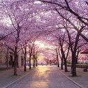 Kim Anton - @KimAnton3 - Twitter