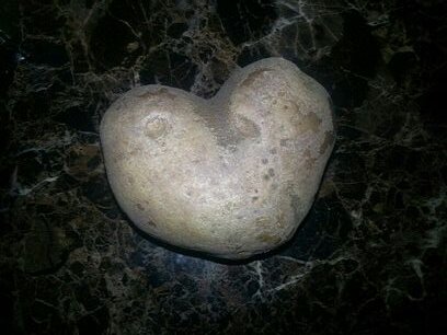 barrtrisha's profile picture. 