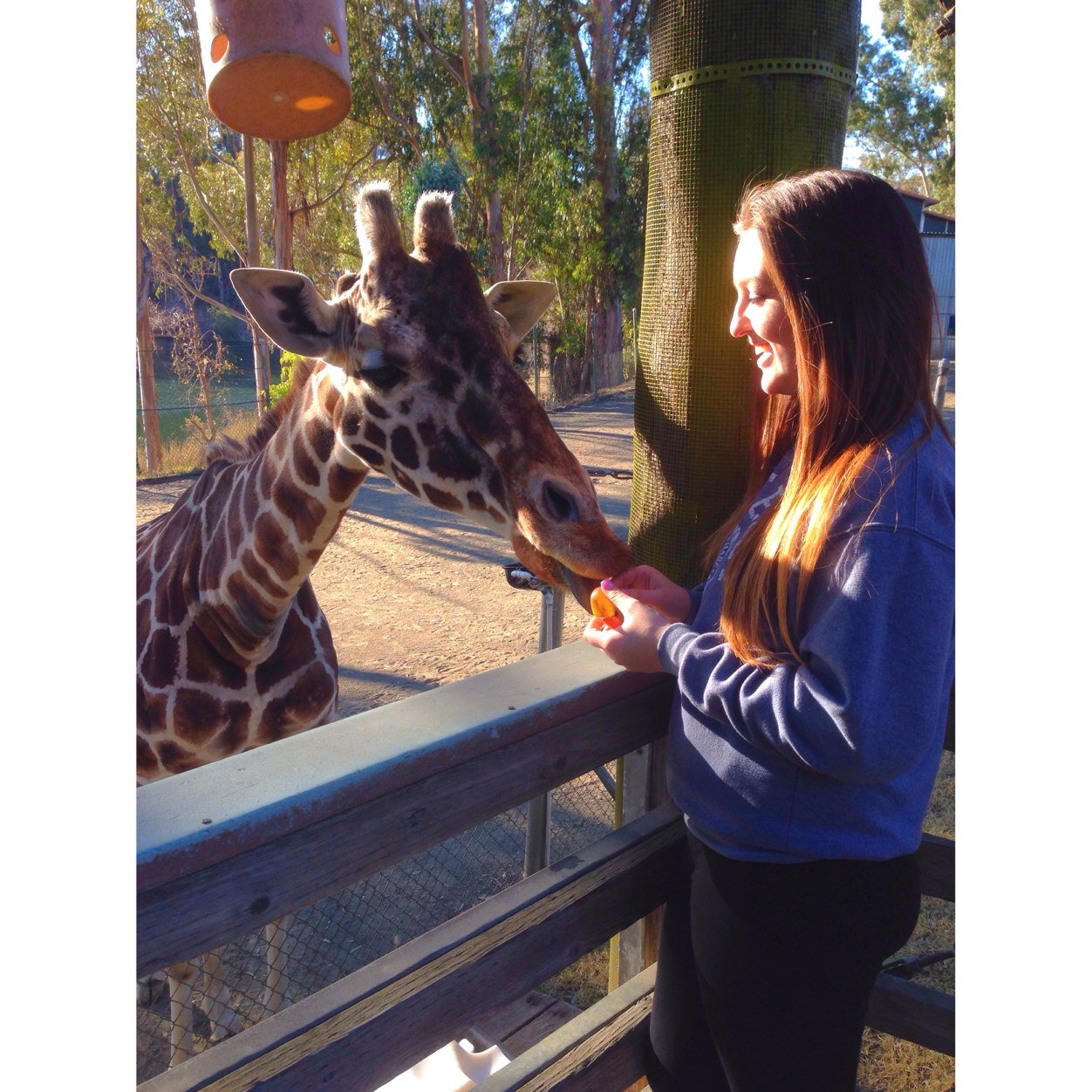 aleahpalos's profile picture. I'm too different to describe myself in words.