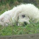 Leah Cantrell - @takebyaustin - Twitter